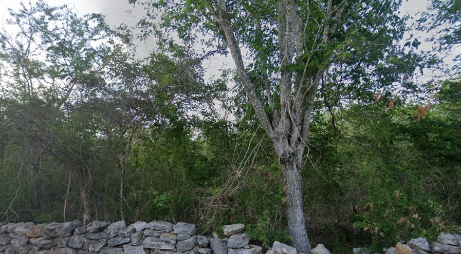 Venta de Terreno en Yaxkukul Municipality, Yucatan